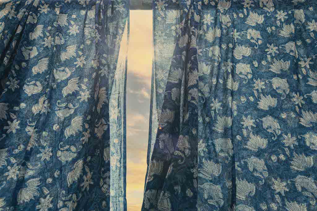 Plant Power- The magic of INDIGO