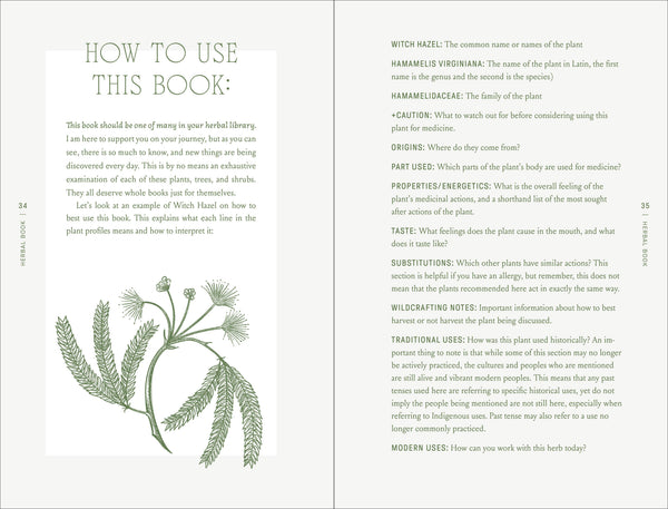 Complete Folk Herbal by Rebecca Beyer: Hardcover; 384 pages / English