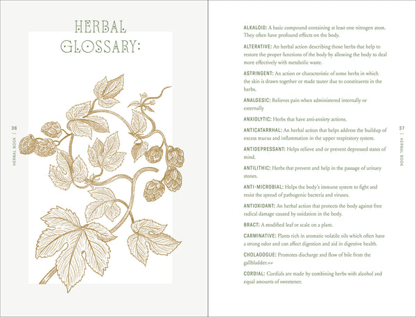 Complete Folk Herbal by Rebecca Beyer: Hardcover; 384 pages / English