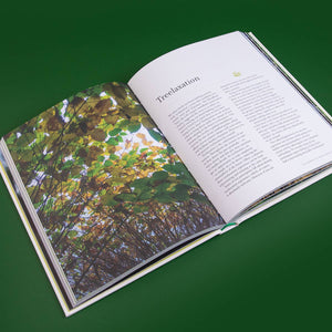 The Healing Power of Trees