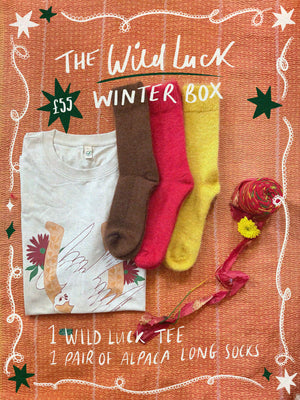 The Wild Luck Winter Box