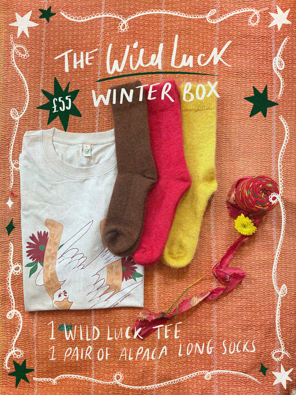 The Wild Luck Winter Box