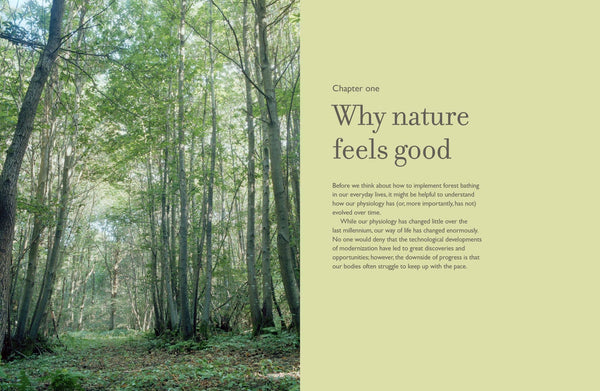 The Healing Power of Trees