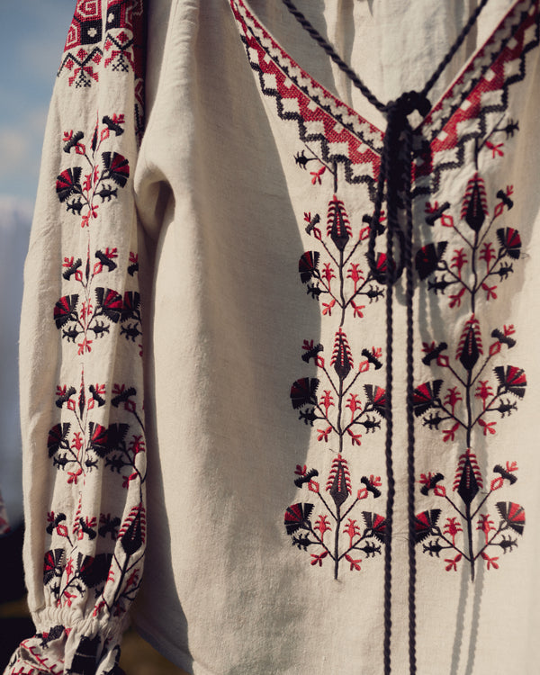 The 'Meera blouse
